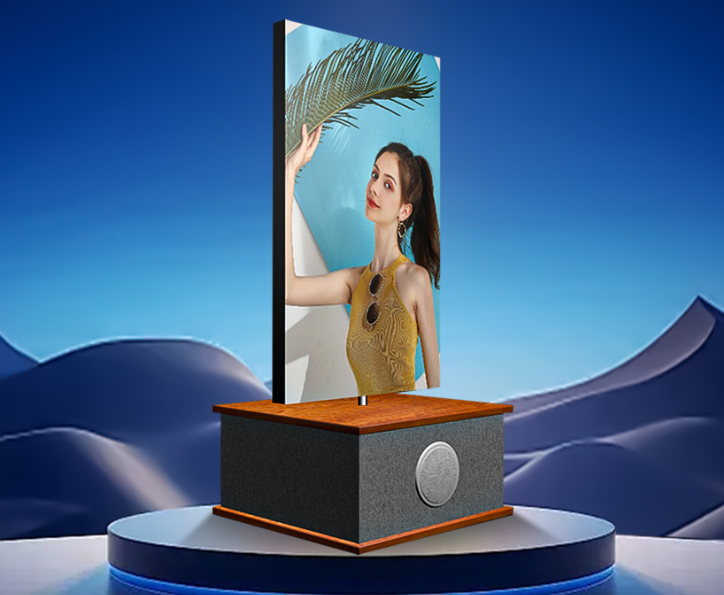 Front maintenance modular LED display