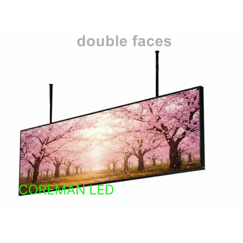 Ceiling-Hanging Double-Sided LED Screen